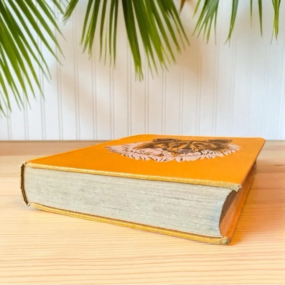 Vintage 1960 Lassie Come-Home by Eric Knight – Winston Books – Hardcover
